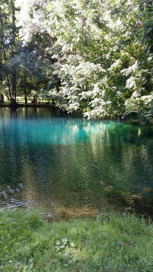Gite Le Cozillon Cozes Εξωτερικό φωτογραφία